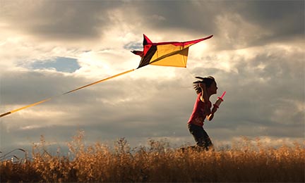 kite-flyer
